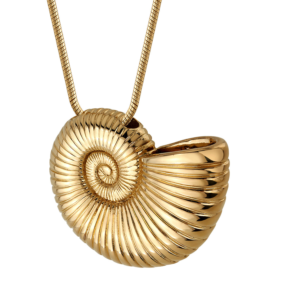 The little on sale mermaid shell necklace